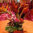 Sangeet/Mehendi Centerpiece
