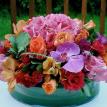 Birthday party centerpiece