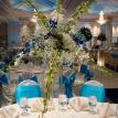 Wedding reception-Pilsner vase with dendrobium orchids & gypsophila
